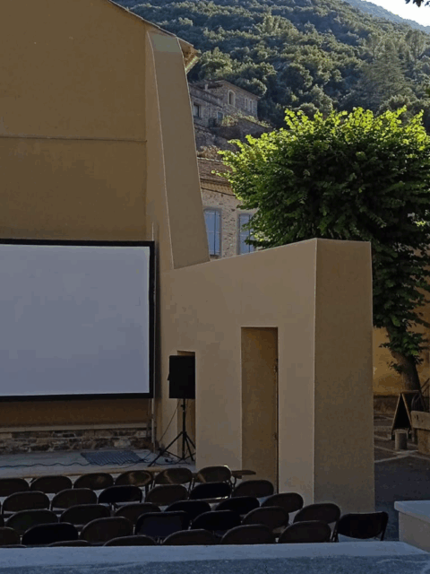 séance cinéma plein air
