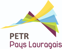 Logo partenaire festival Cinéma d'Ici - PETR