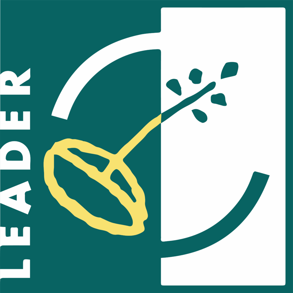 Logo partenaire festival Cinéma d'Ici - LEADER